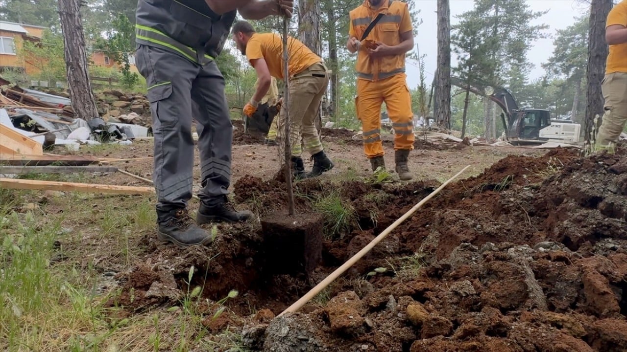 Foto - Kaçak evler bir bir yıkıldı Ormanı talan edenlere göz açtırılmıyor