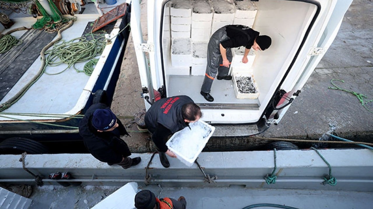 Foto - Kaçak hamsi İğneada'yı mesken tuttu