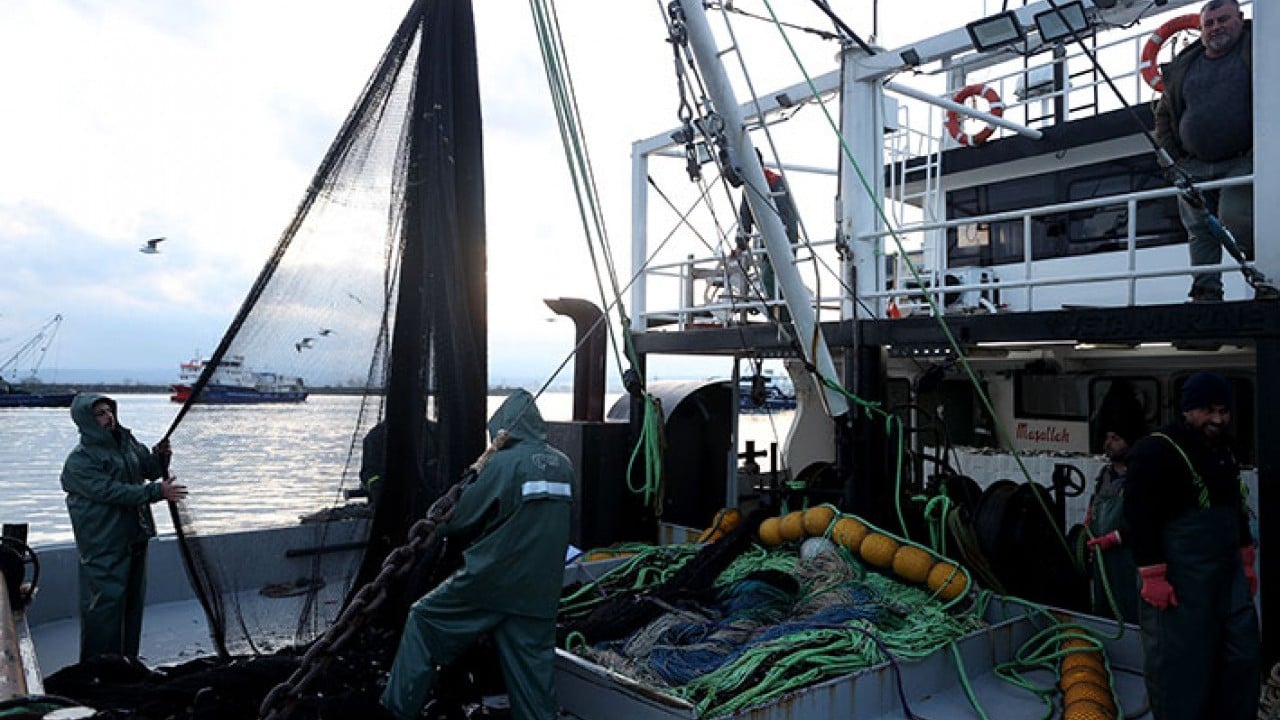 Foto - Kaçak hamsi İğneada'yı mesken tuttu