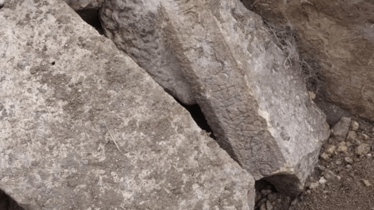 Foto - Kaçak kazı yapan defineciler bölgeyi alt üst etti