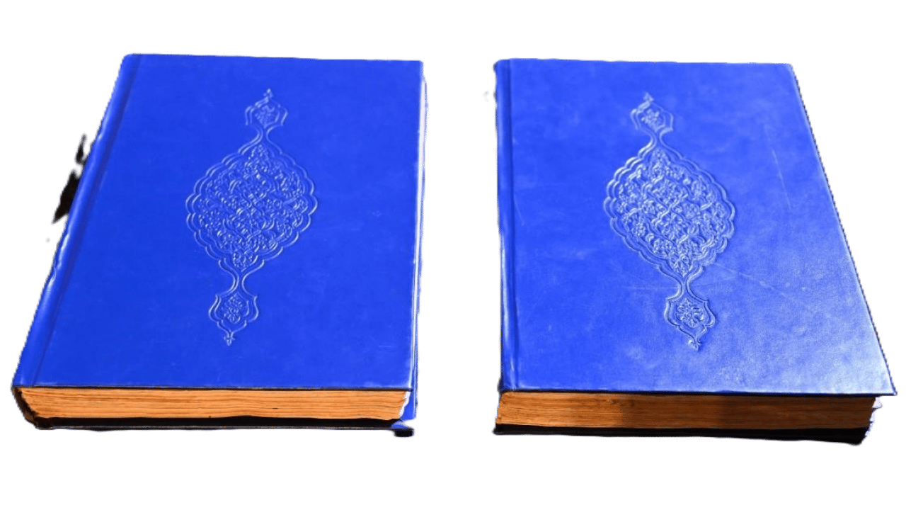 Kaçırılan 110 tarihi eser yeniden Türkiye'de