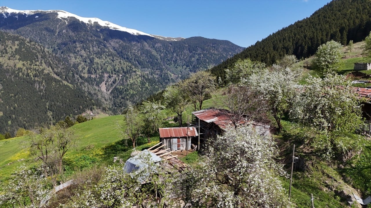 Foto - Kaçkar Dağları'nda şimdi bahar zamanı