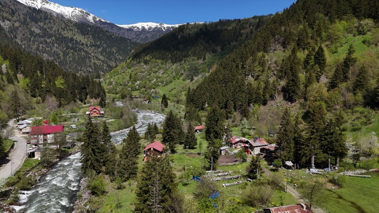 Foto - Kaçkar Dağları'nda şimdi bahar zamanı