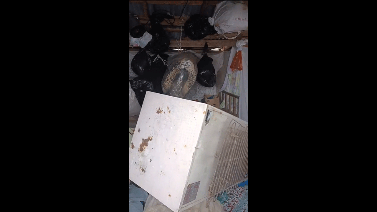 Foto - Kaçkarlar’da ayı dehşeti! Koçdüzü Yaylası’nda aç kalan ayı tam 20 evi birbirine kattı!