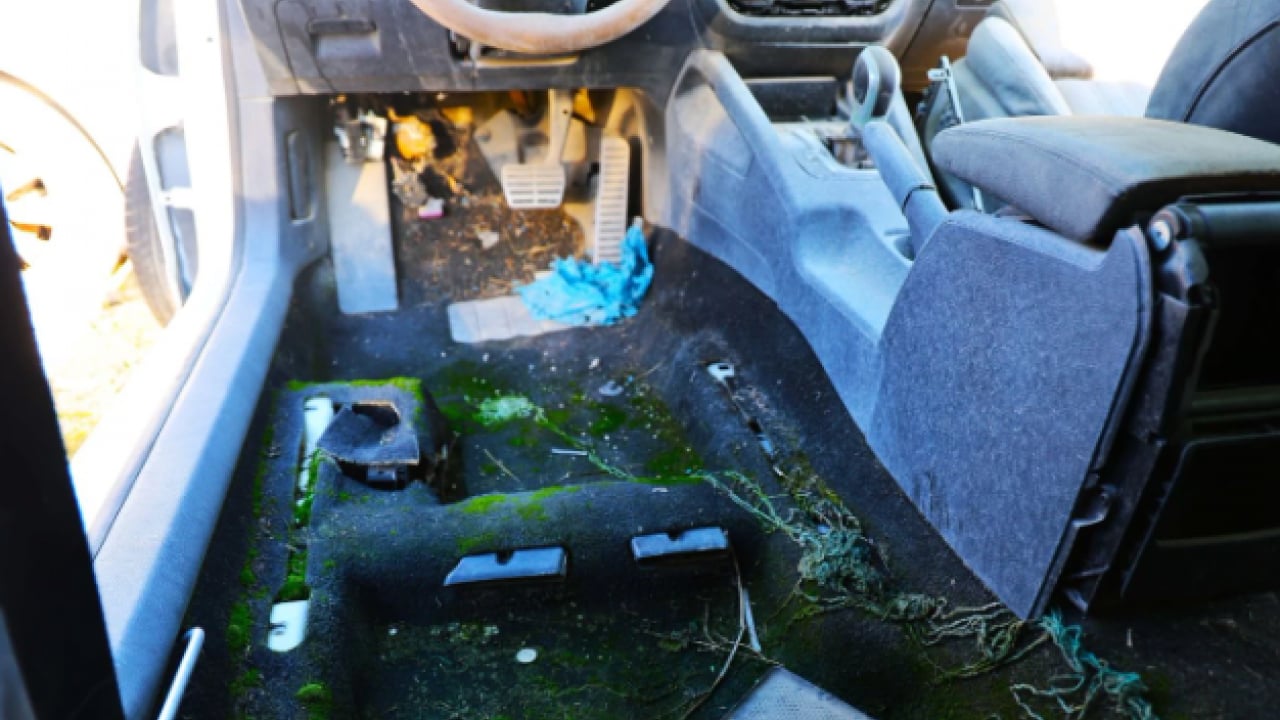 Foto - Kaderine terk edilmişler! 500 milyon liralık servet çürüyor