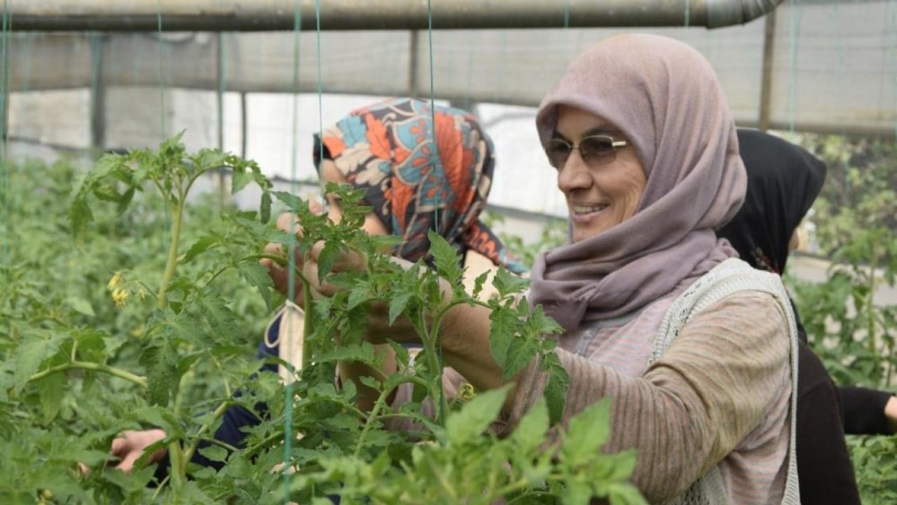 Foto - Kadın çiftçilerden örtü altı tarıma 370 bin tonluk katkı