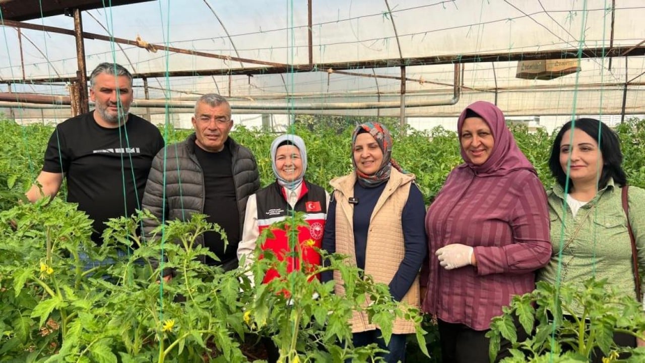 Kadın çiftçilerden örtü altı tarıma 370 bin tonluk katkı