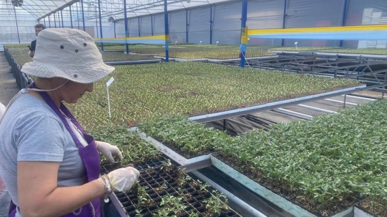 Foto - Kadın çiftçilerden örtü altı tarıma 370 bin tonluk katkı