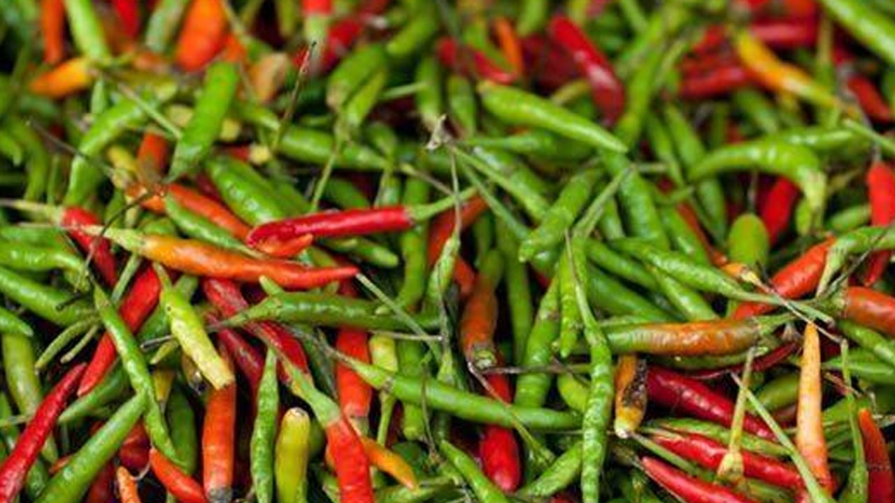 Foto - Kadınlarda böbrek taşı görülme oranı artıyor: Tüketenler risk altında! Acı biber büyük önem taşıyor 