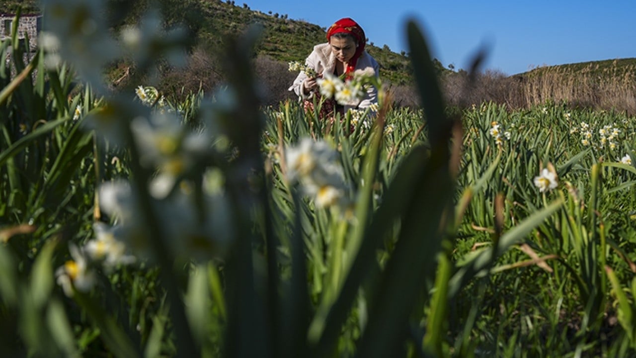Foto - Kadınlardan aile bütçesine 'mis kokulu' destek!