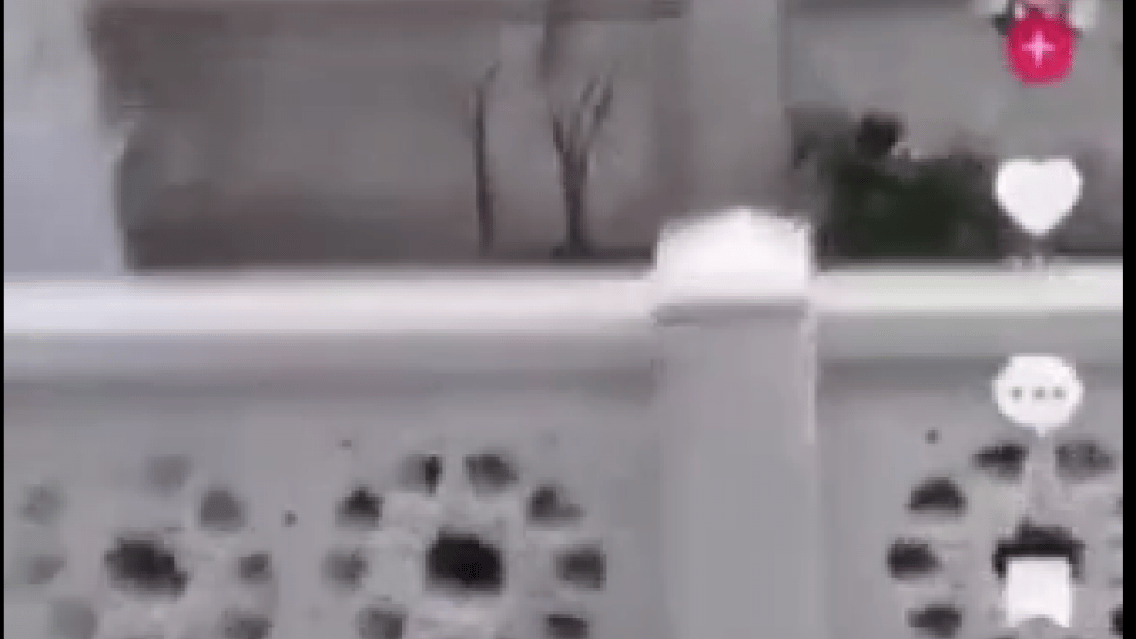 Foto - Kadir Mısıroğlu'nun mezarında rezil anlar