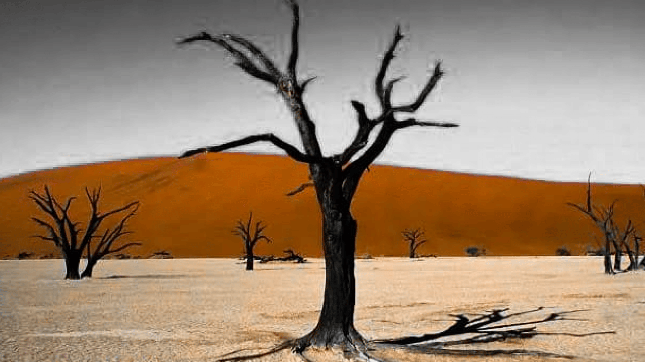 Foto - Kafirlere neden bela gelmiyor, neden refah içinde yaşıyorlar? İsmail Yaşar Hoca açıkladı