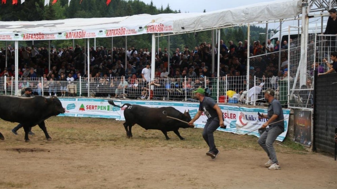 Foto - Kafkasör'de 45. randevu Yaylada kozlarını paylaştılar