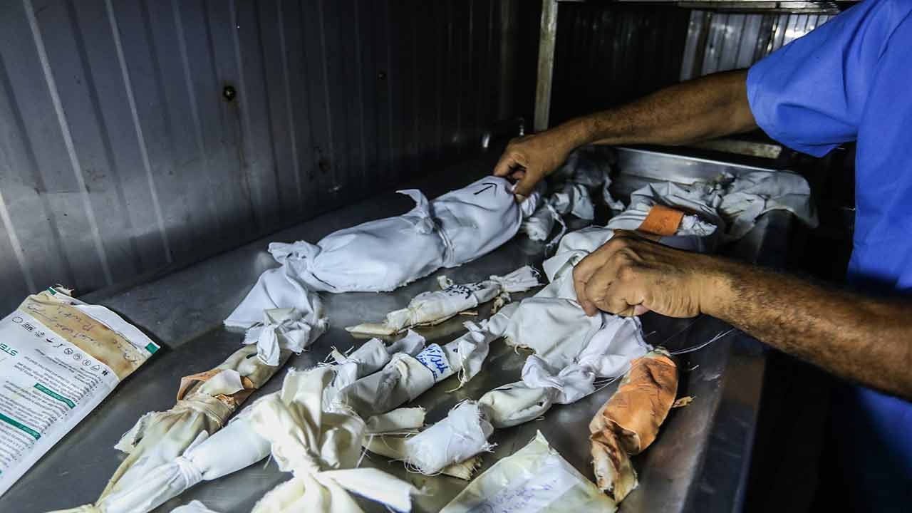 Foto - Kahpe İsrail Filistin'in geleceğini böyle çalıyor: Son 1 ayda 921 düşük vakası