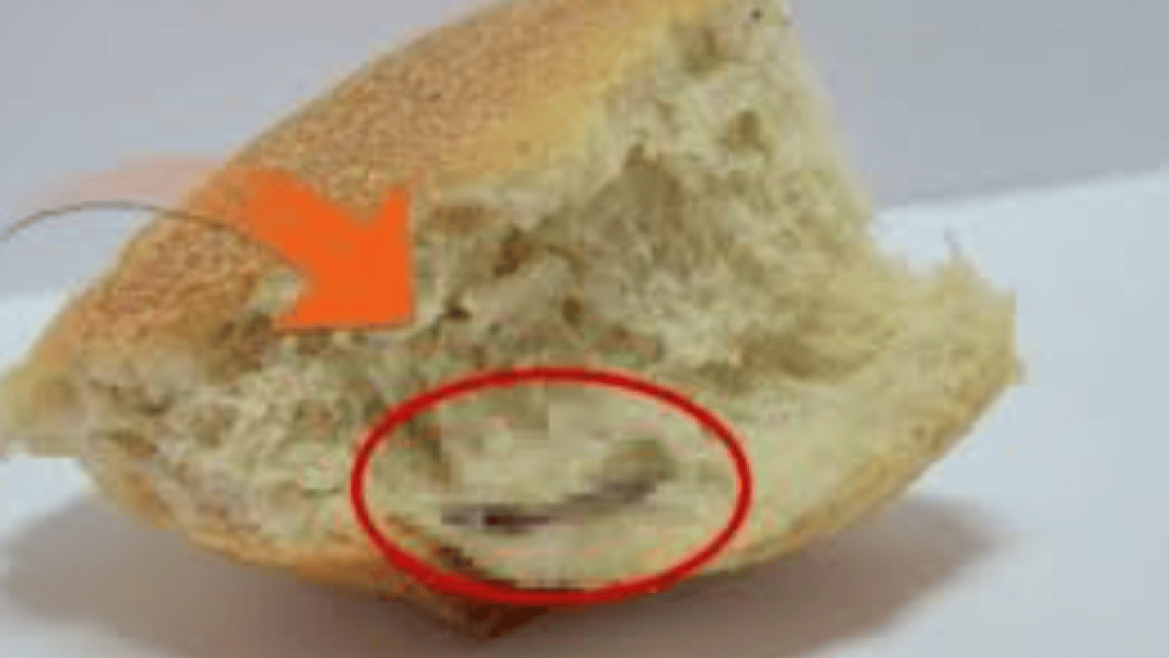 Foto - Ekmeğin içinden çıkana inanamadı: 'Ağzımın içinde sertlik hissettim!'