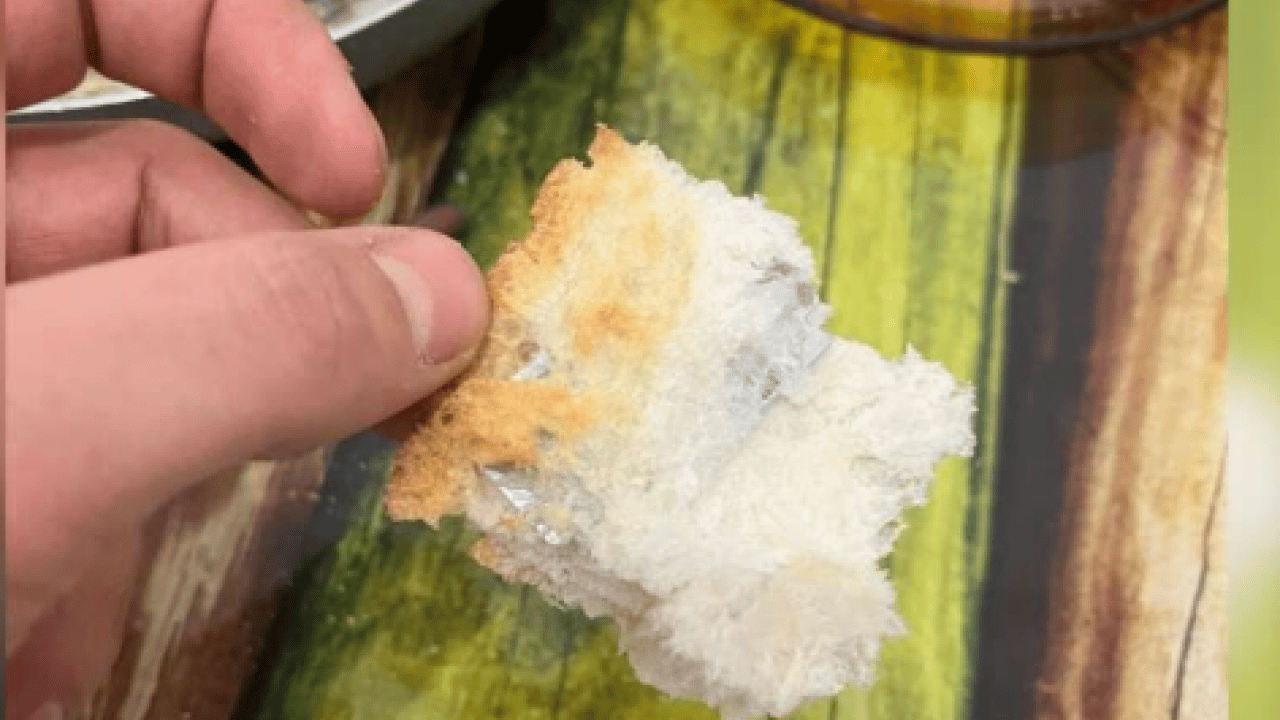 Foto - Ekmeğin içinden çıkana inanamadı: 'Ağzımın içinde sertlik hissettim!'