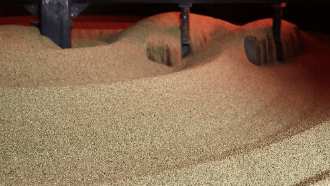 Foto - Kahvaltıda mutlaka tüketin: Omega-3 deposu: Pekmezi tahtından eden işte o besin...