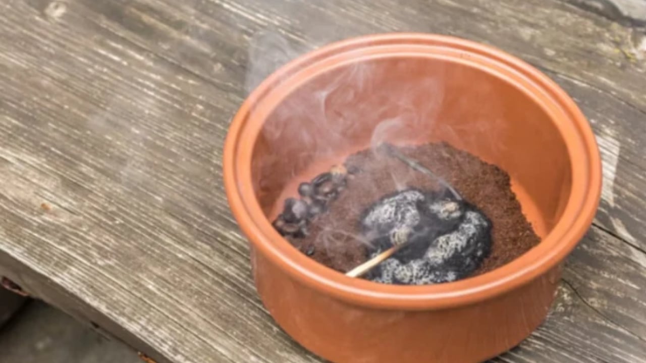 Foto - Kahve telvesini balkona koyun! Nedenini duyunca şaşıracaksınız!