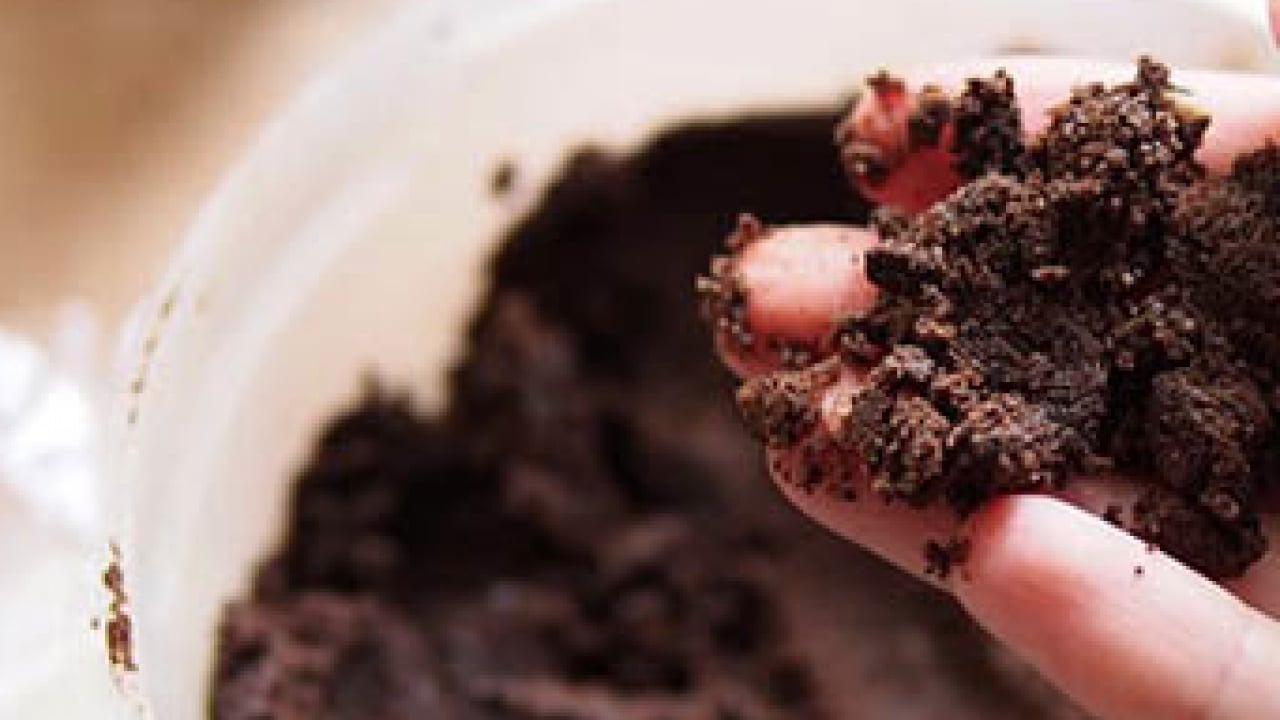 Foto - Kahvenin içmek dışında bilinmesi gereken mükemmel bir özelliği var: Yeni çıkan detay, evde hazırlama yöntemi