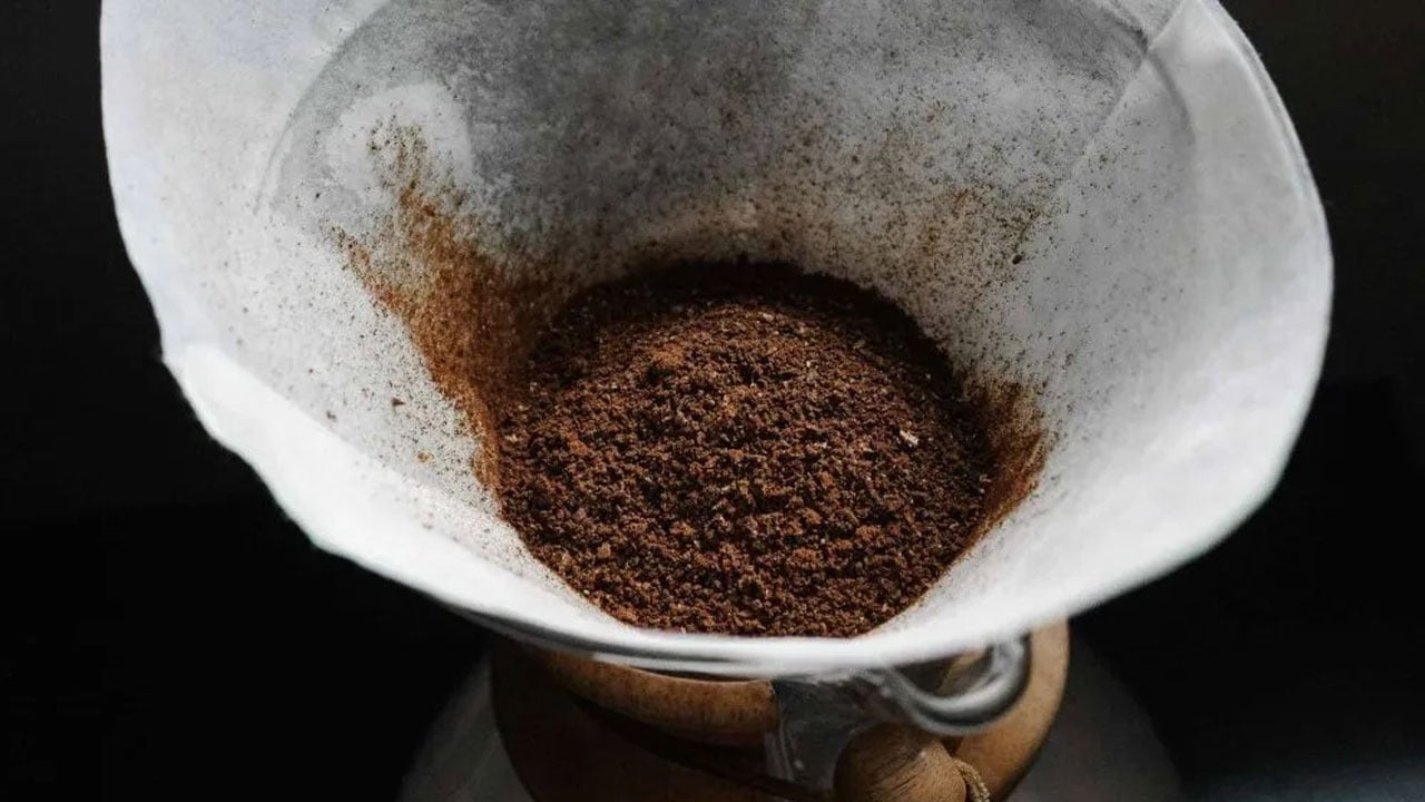 Foto - Kahvenizi içtikten sonra sakın dökmeyin! Filtre kahve telvesi bakın ne işe yarıyor