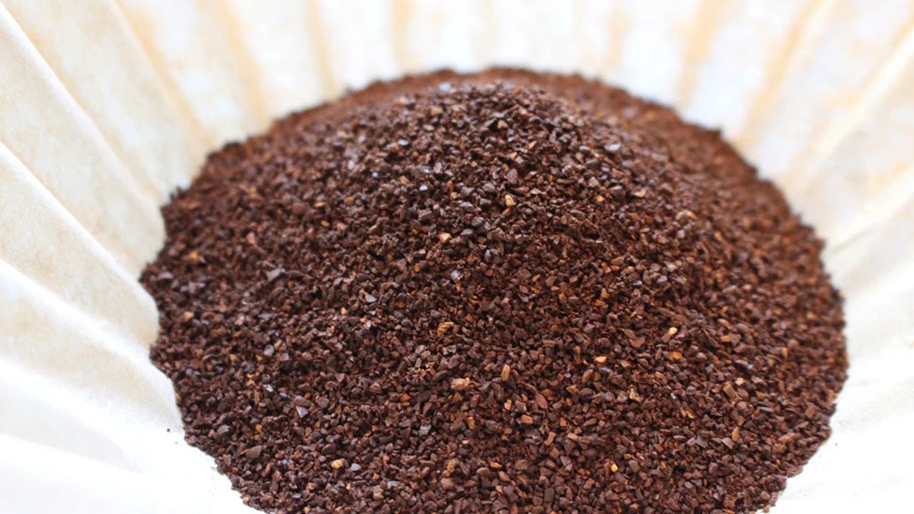 Foto - Kahvenizi içtikten sonra sakın dökmeyin! Filtre kahve telvesi bakın ne işe yarıyor