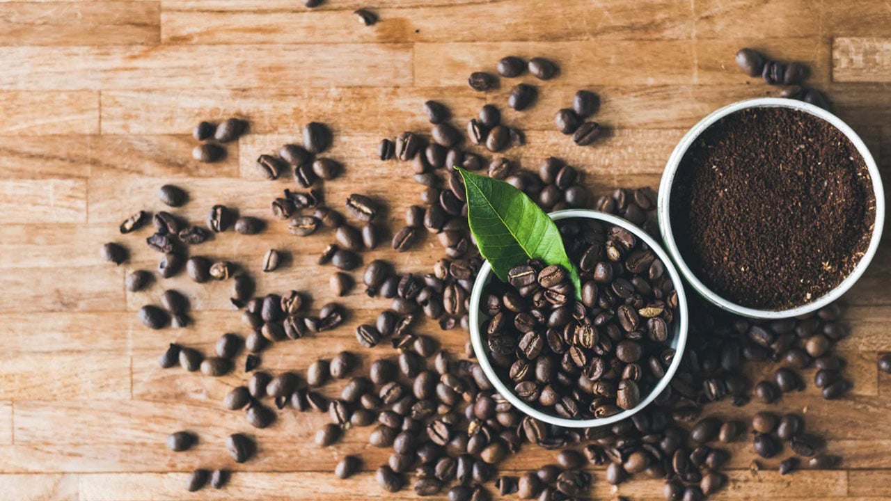 Foto - Kahvenizi içtikten sonra sakın dökmeyin! Filtre kahve telvesi bakın ne işe yarıyor