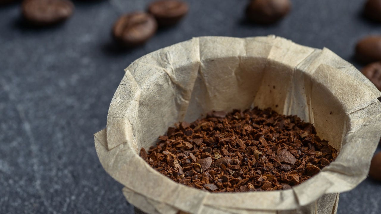 Foto - Kahvenizi içtikten sonra sakın dökmeyin! Filtre kahve telvesi bakın ne işe yarıyor