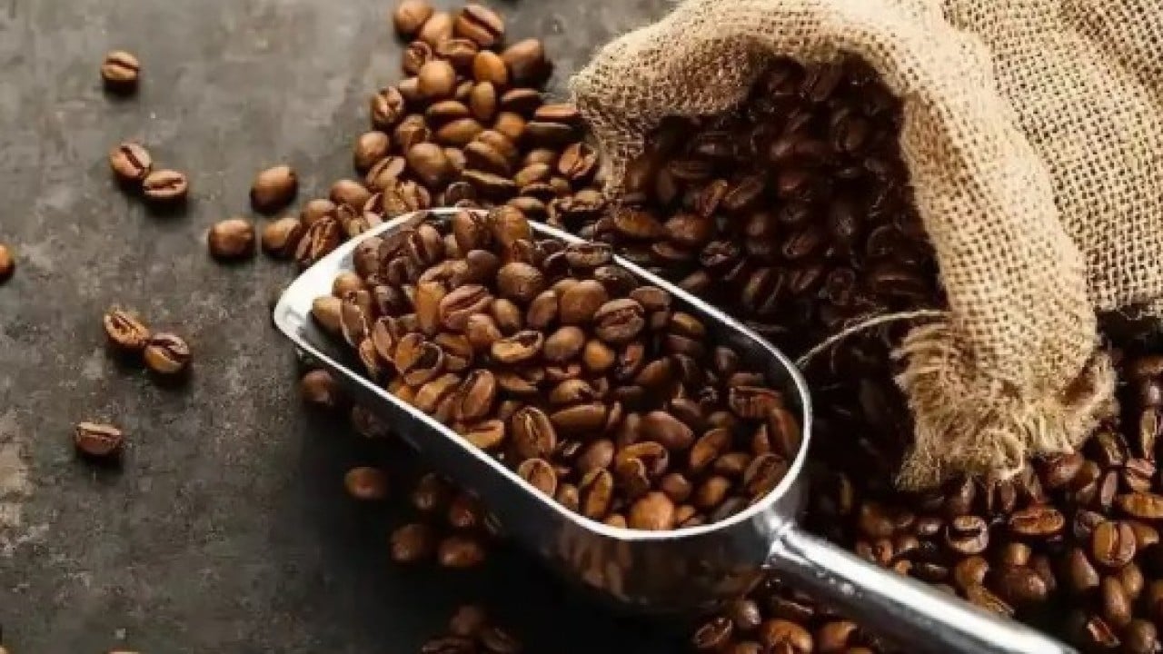 Kahveyi böyle tüketenler dikkat: Hafızayı zayıflatıyor!