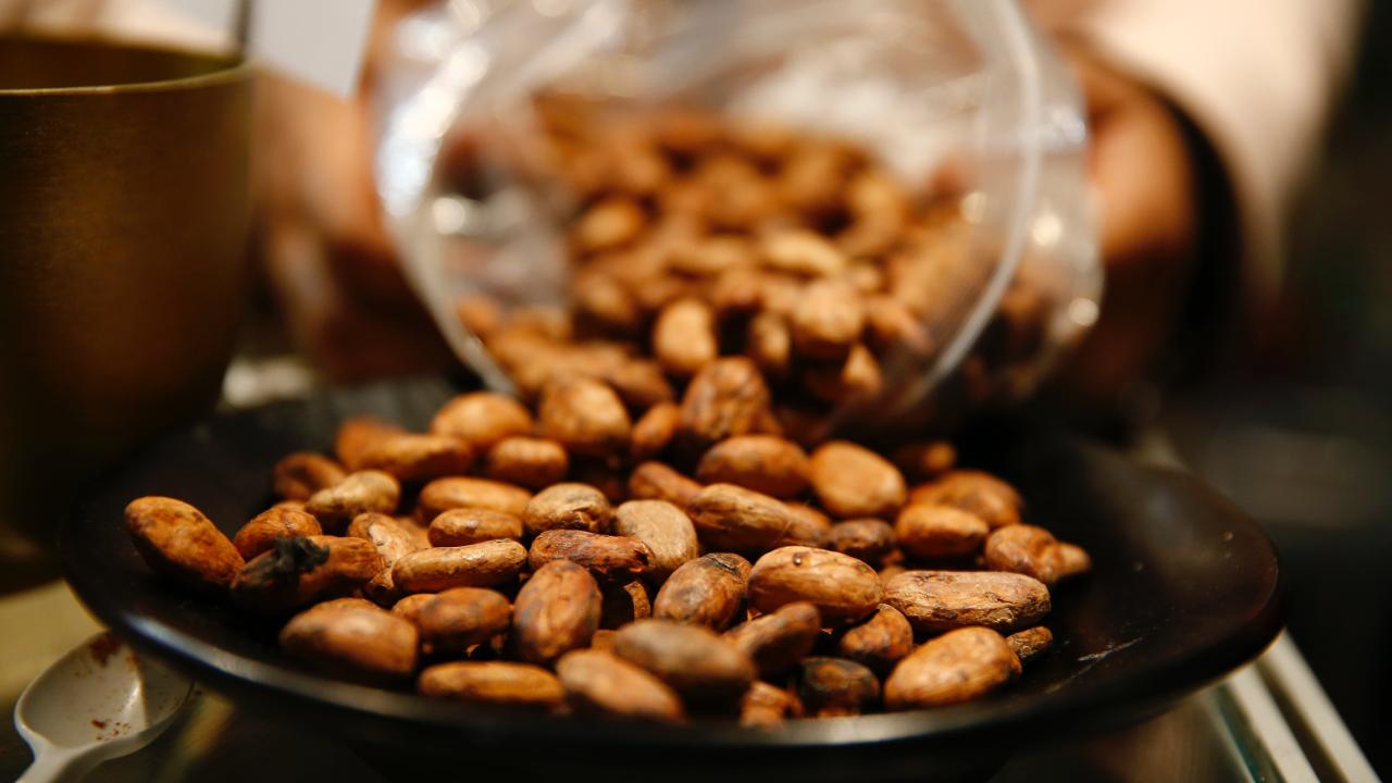 Foto - Kakao fiyatları düştükçe düşüyor!