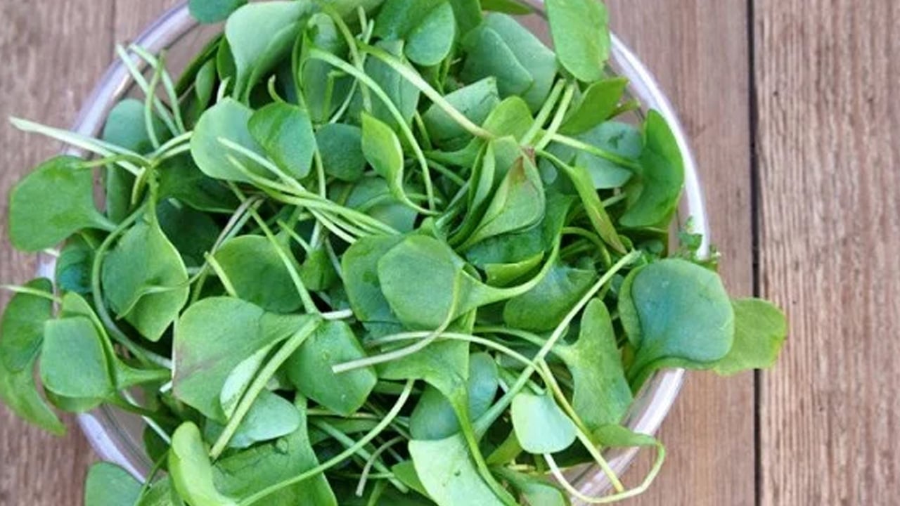 Foto - Kalbi koruyorlar! En güçlü 7 sebze süper besin: Su teresi, Chia tohumu, Karahindiba... Mucizevi besinler