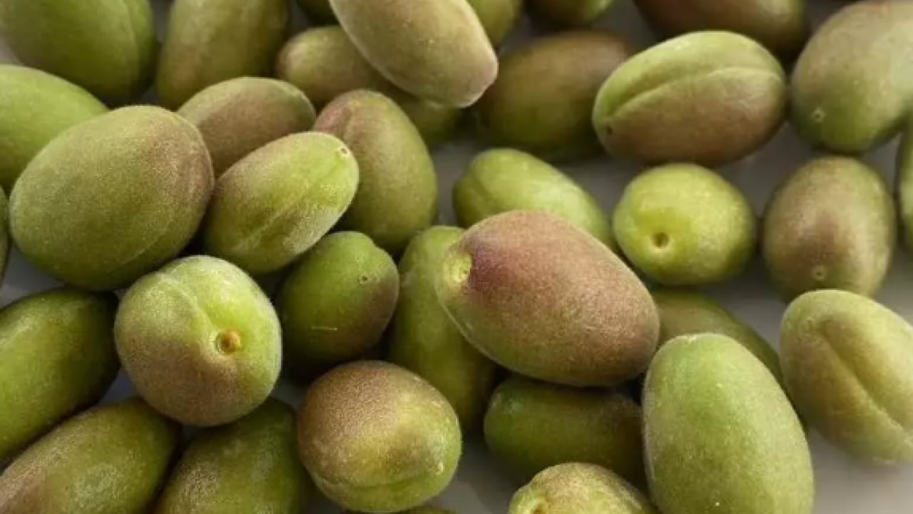 Foto - Kalbi motor gibi çalıştırıyor! Kilosu 150 TL'den satılıyor!