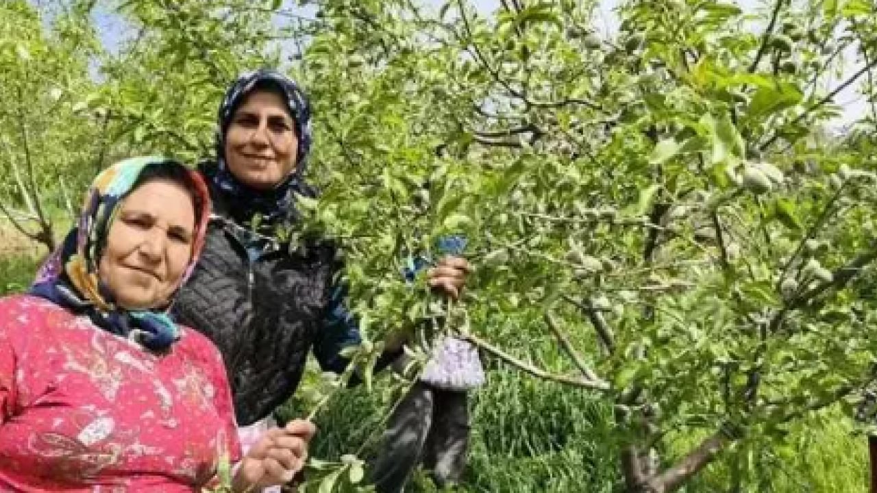 Foto - Kalbi motor gibi çalıştırıyor! Kilosu 150 TL'den satılıyor!