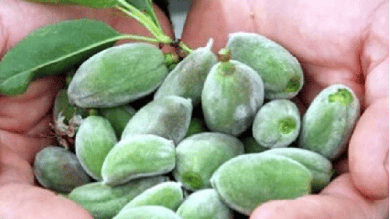 Foto - Kalbi motor gibi çalıştırıyor! Kilosu 150 TL'den satılıyor!