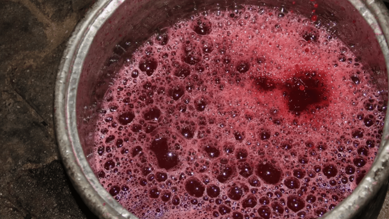 Foto - Kalbi tıkır tıkır çalıştırıyor: İşte doğal tansiyon ilacı!