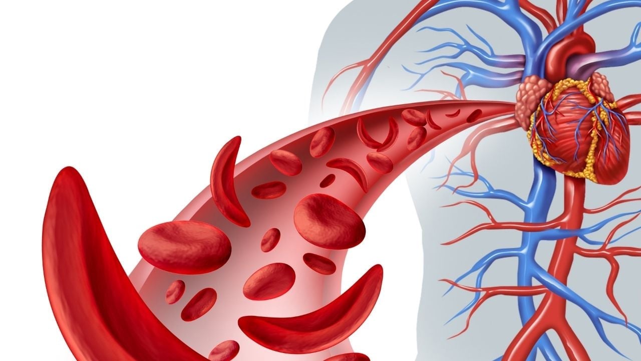Foto - Kalbiniz konuşabilseydi 3 şey için uyarırdı: Bakın ne! Dikkat onu yiyen zararlı, sessiz tehlike! 