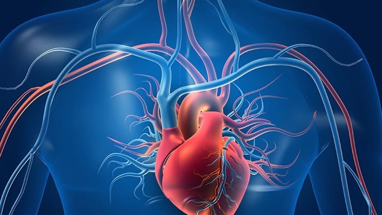 Foto - Kalbiniz konuşabilseydi 3 şey için uyarırdı: Bakın ne! Dikkat onu yiyen zararlı, sessiz tehlike! 