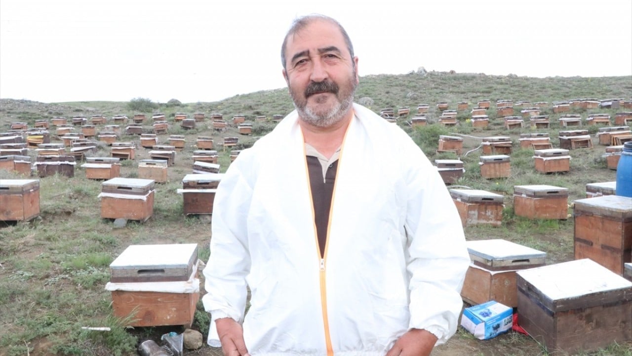 Foto - Kaliteli bal mesaisi başladı Bozok Yaylası’nı mesken tuttular
