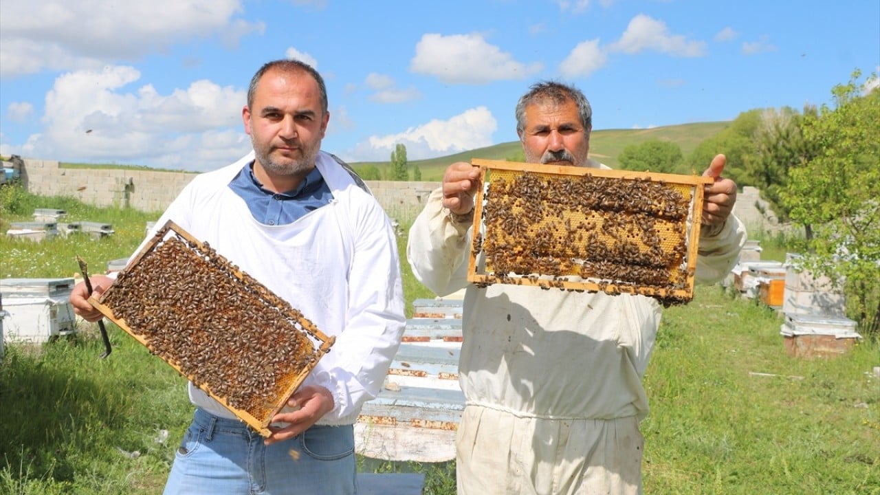 Foto - Kaliteli bal mesaisi başladı Bozok Yaylası’nı mesken tuttular