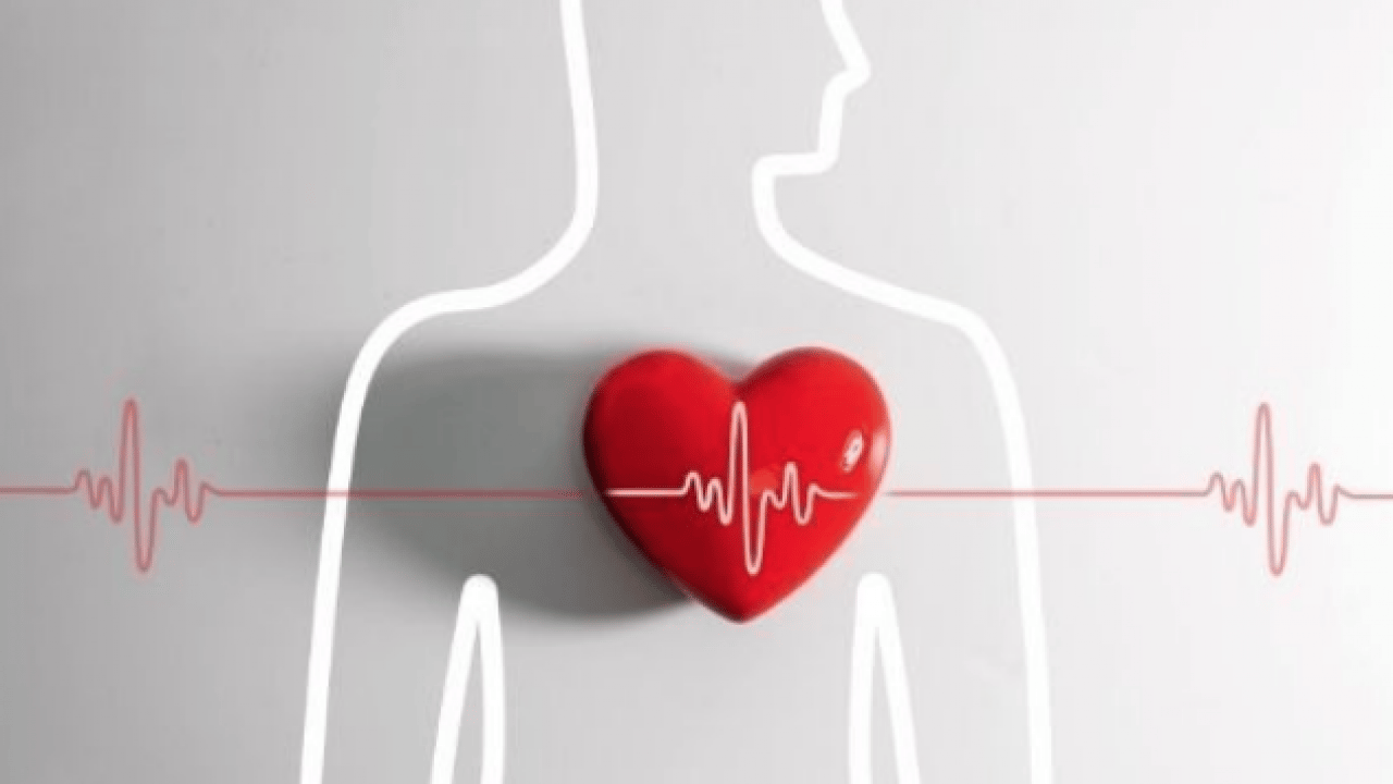 Foto - Kalp çarpıntısında alarm veren 4 kritik eşik! Sağlığımız açısından düşündüren ayrıntılara göz atılmalı...