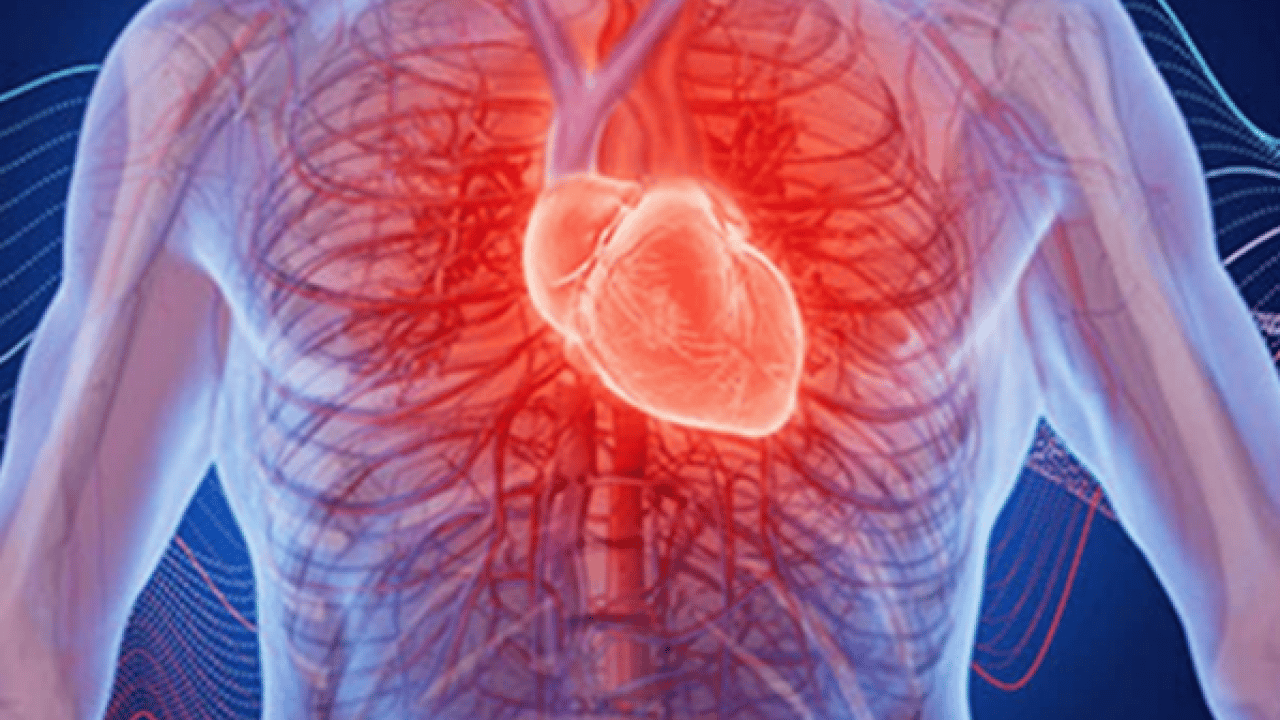 Foto - Kalp çarpıntısında alarm veren 4 kritik eşik! Sağlığımız açısından düşündüren ayrıntılara göz atılmalı...