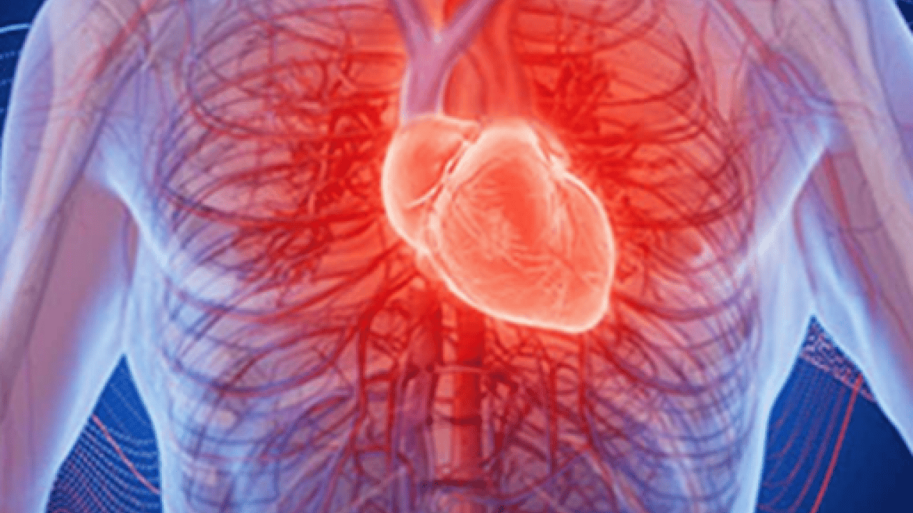 Foto - Kalp çarpıntısında alarm veren 4 kritik eşik! Sağlığımız açısından düşündüren ayrıntılara göz atılmalı...