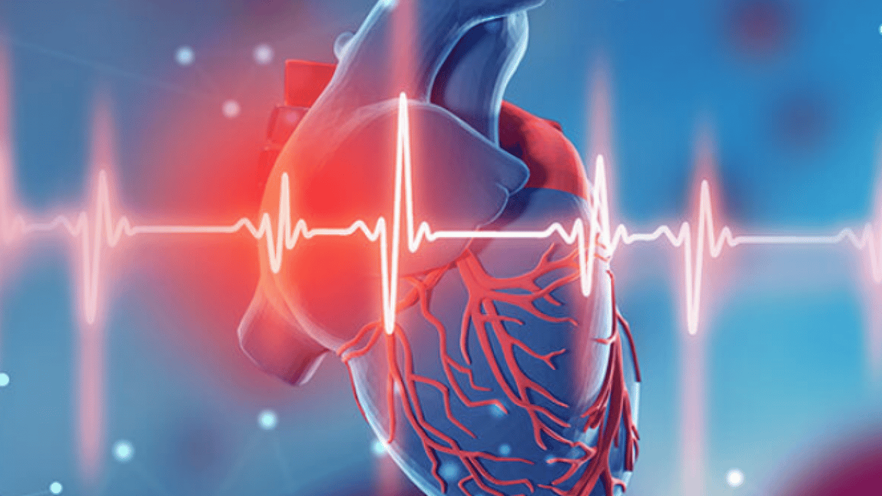 Foto - Kalp çarpıntısında alarm veren 4 kritik eşik! Sağlığımız açısından düşündüren ayrıntılara göz atılmalı...