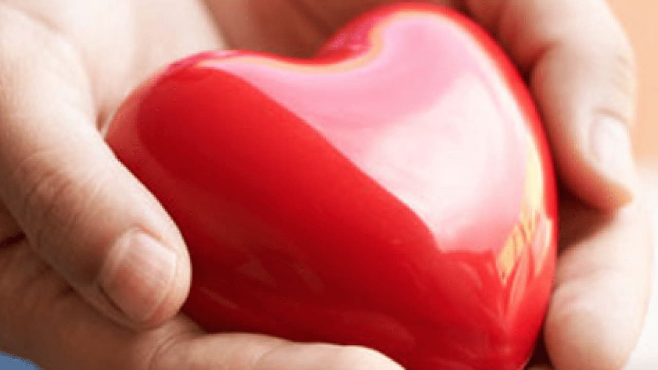 Foto - Kalp dostu meğer o gıdalar: Bağırsakları motor gibi çalıştırıyor! Risk faktörleri yok oluyor!