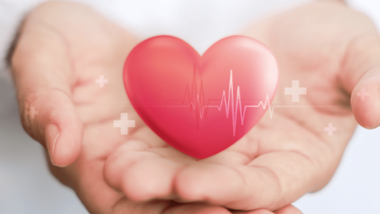 Foto - Kalp dostu meğer o gıdalar: Bağırsakları motor gibi çalıştırıyor! Risk faktörleri yok oluyor!