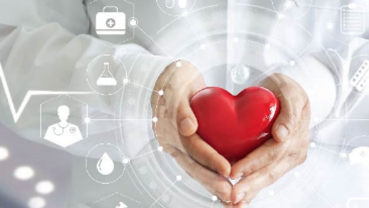 Foto - Kalp dostu meğer o gıdalar: Bağırsakları motor gibi çalıştırıyor! Risk faktörleri yok oluyor!