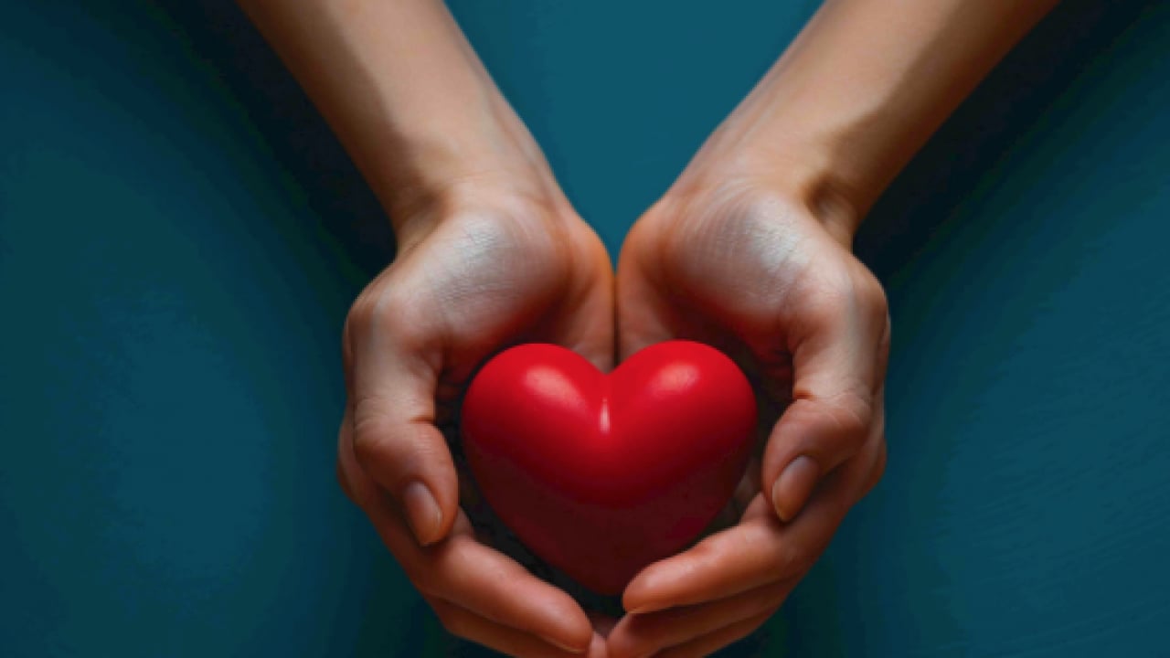 Foto - Kalp dostu meğer o gıdalar: Bağırsakları motor gibi çalıştırıyor! Risk faktörleri yok oluyor!