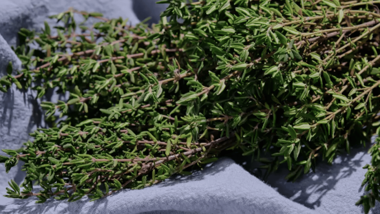 Foto - Kalp ve damar hastalıkları bile... Mutfaktaki doğal antibiyotik: Bir tutamı bile...