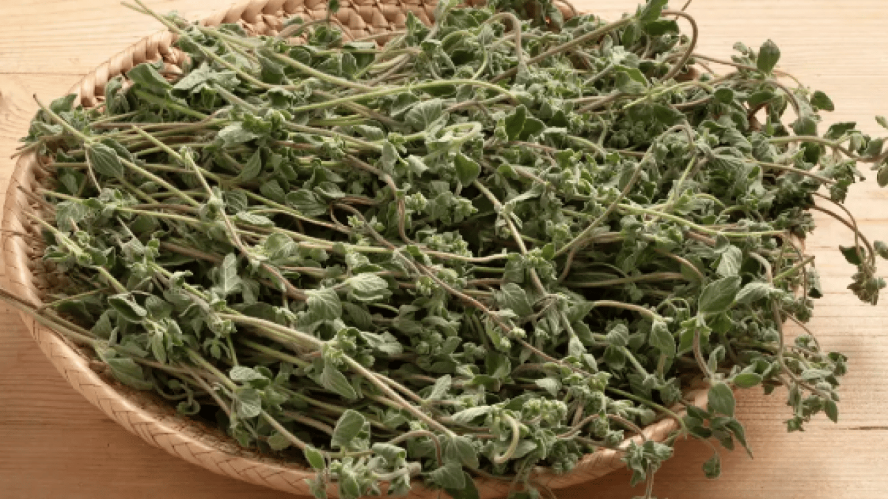 Foto - Kalp ve damar hastalıkları bile... Mutfaktaki doğal antibiyotik: Bir tutamı bile...