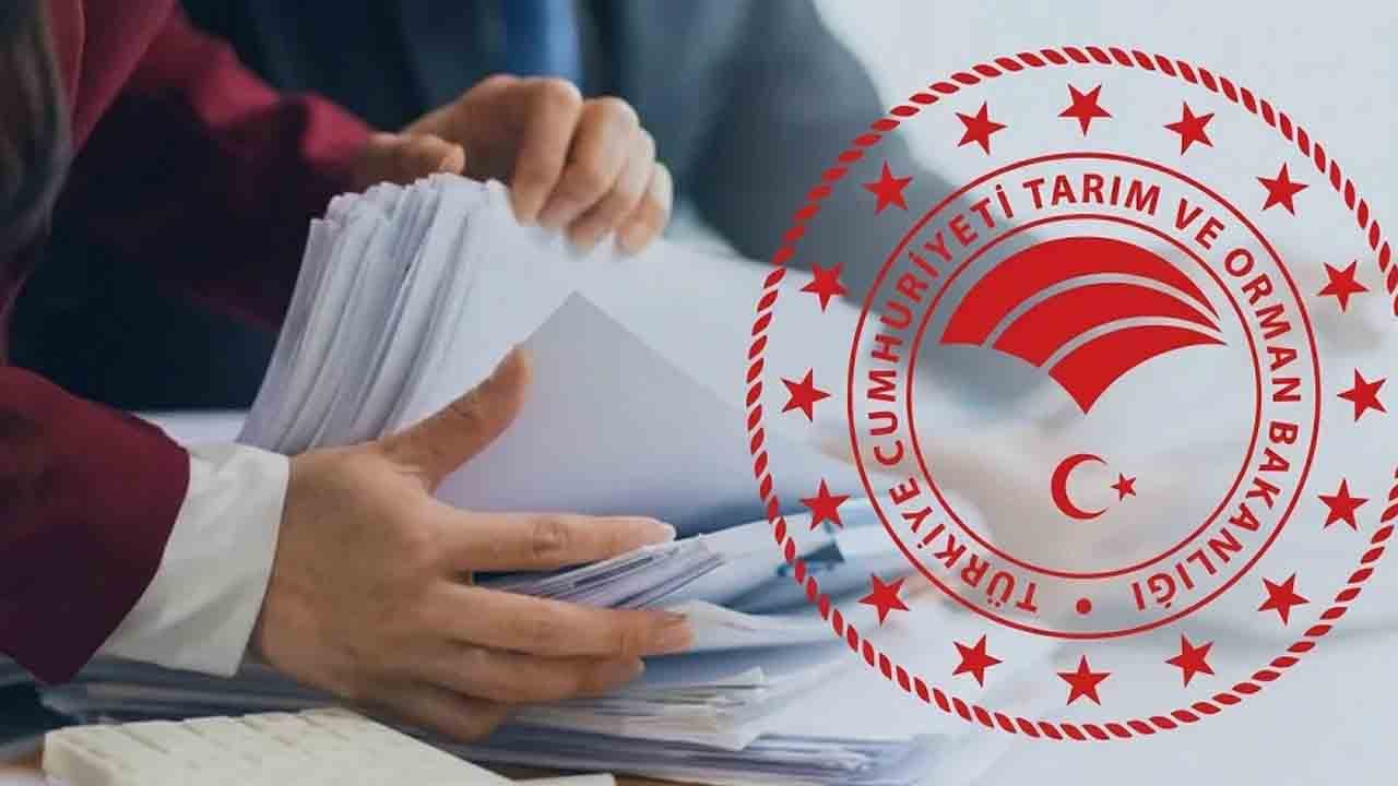 Kamuda istihdam atağı : Bakanlıktan yüzlerce personel alımı