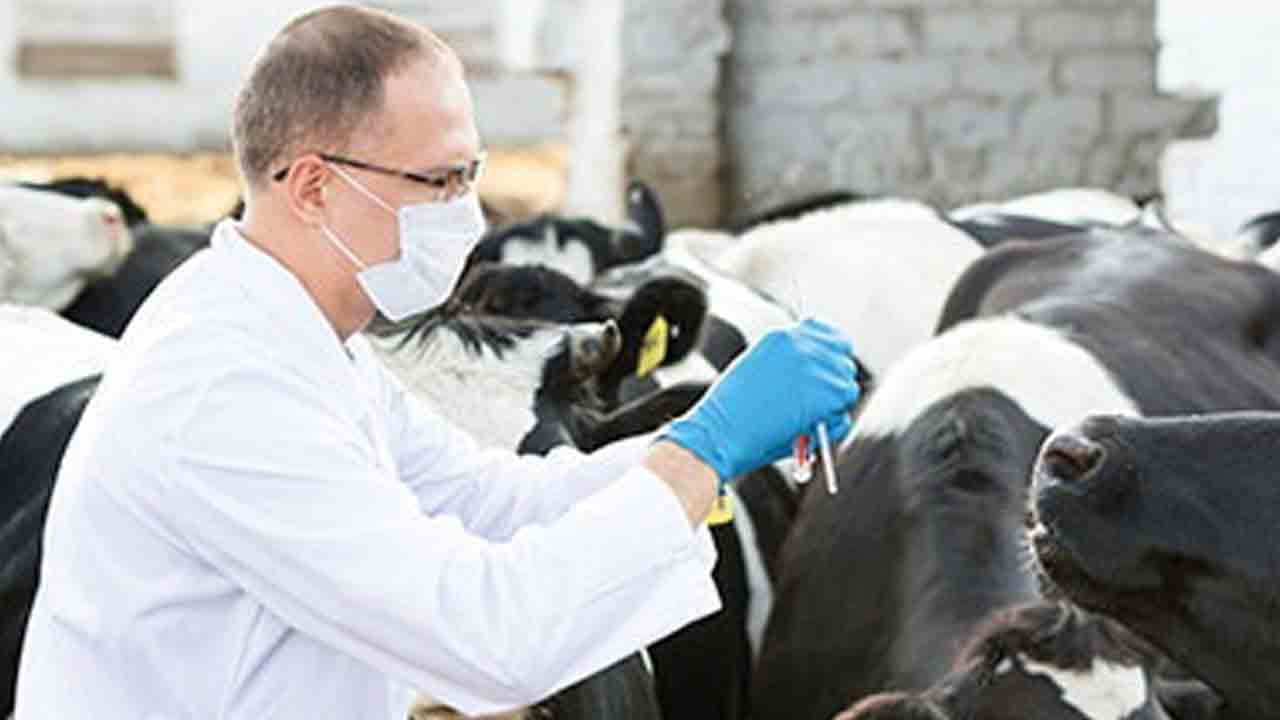 Foto - Kamuda istihdam atağı : Bakanlıktan yüzlerce personel alımı